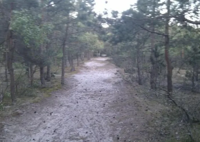 In Mit Terrasse Und Garten By Interhome בית נופש רוסינובו